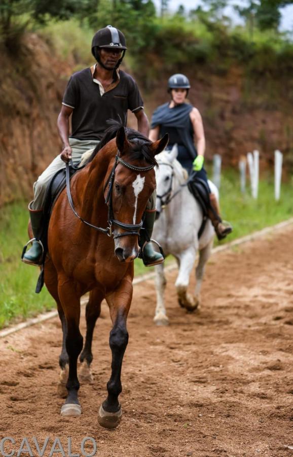 Cavalo Guesthouse & Equestrian Estate Drummond Eksteriør billede