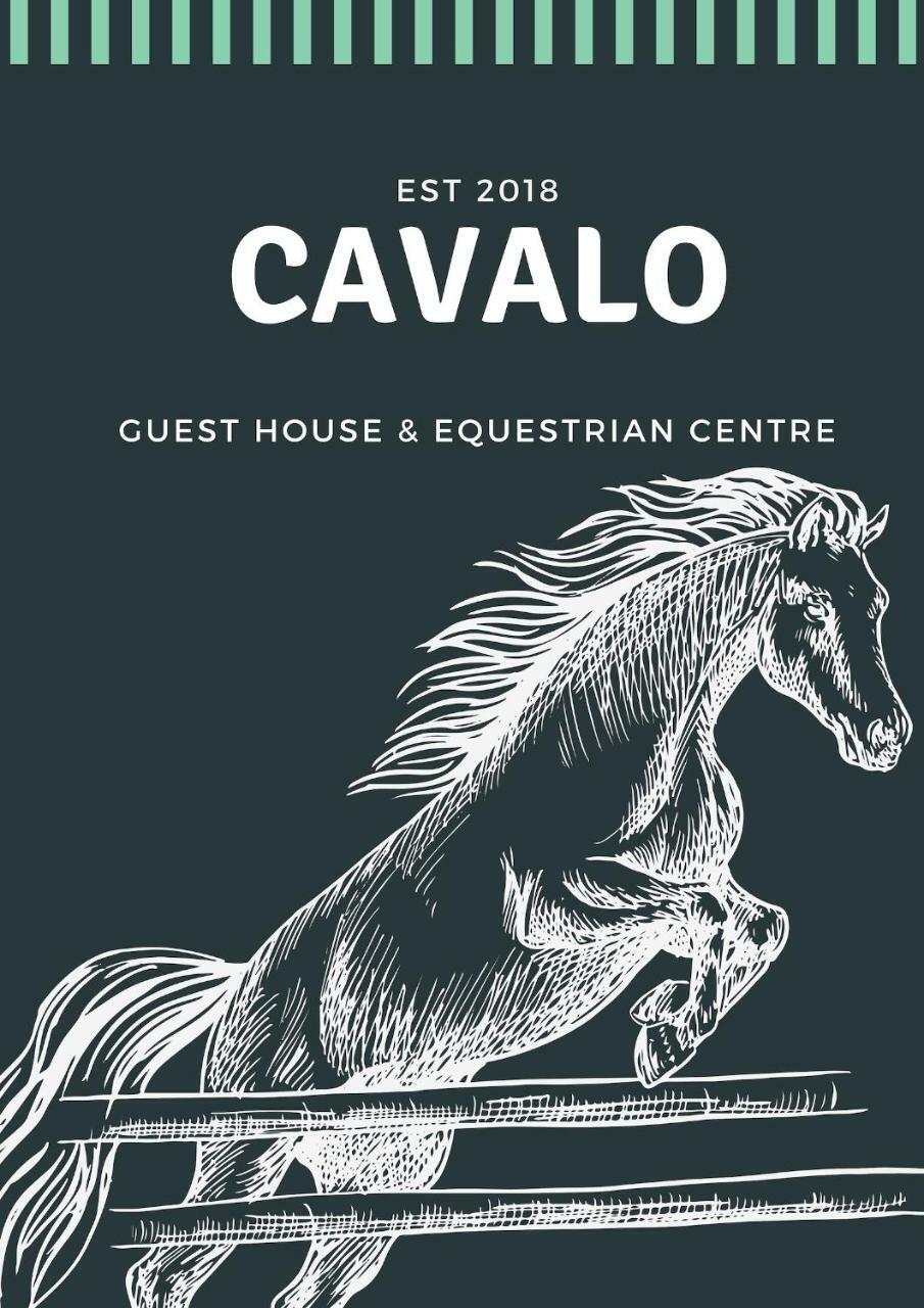 Cavalo Guesthouse & Equestrian Estate Drummond Eksteriør billede